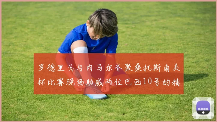 罗德里戈与内马尔齐聚桑托斯南美杯比赛现场助威两位巴西10号的精彩时刻